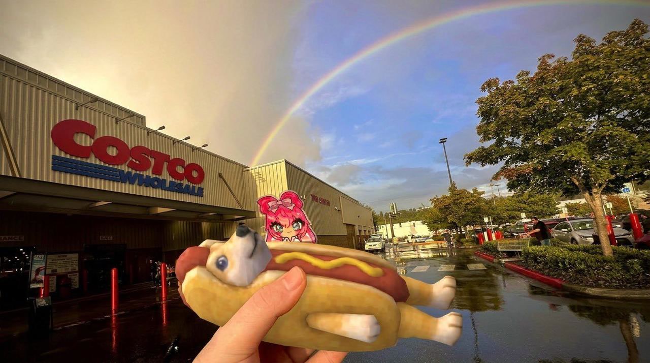 $HOTDOG meme 104