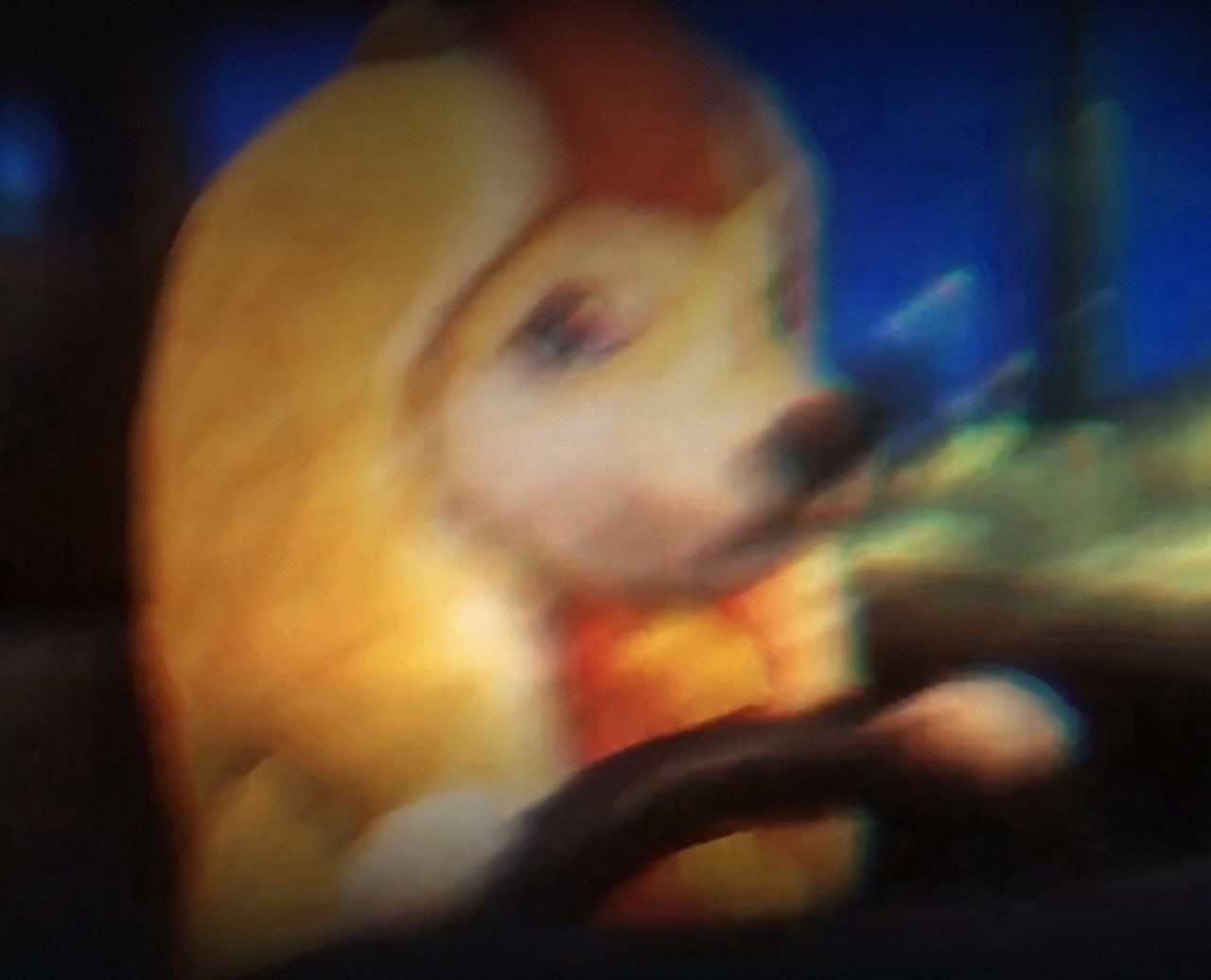 $HOTDOG meme 80