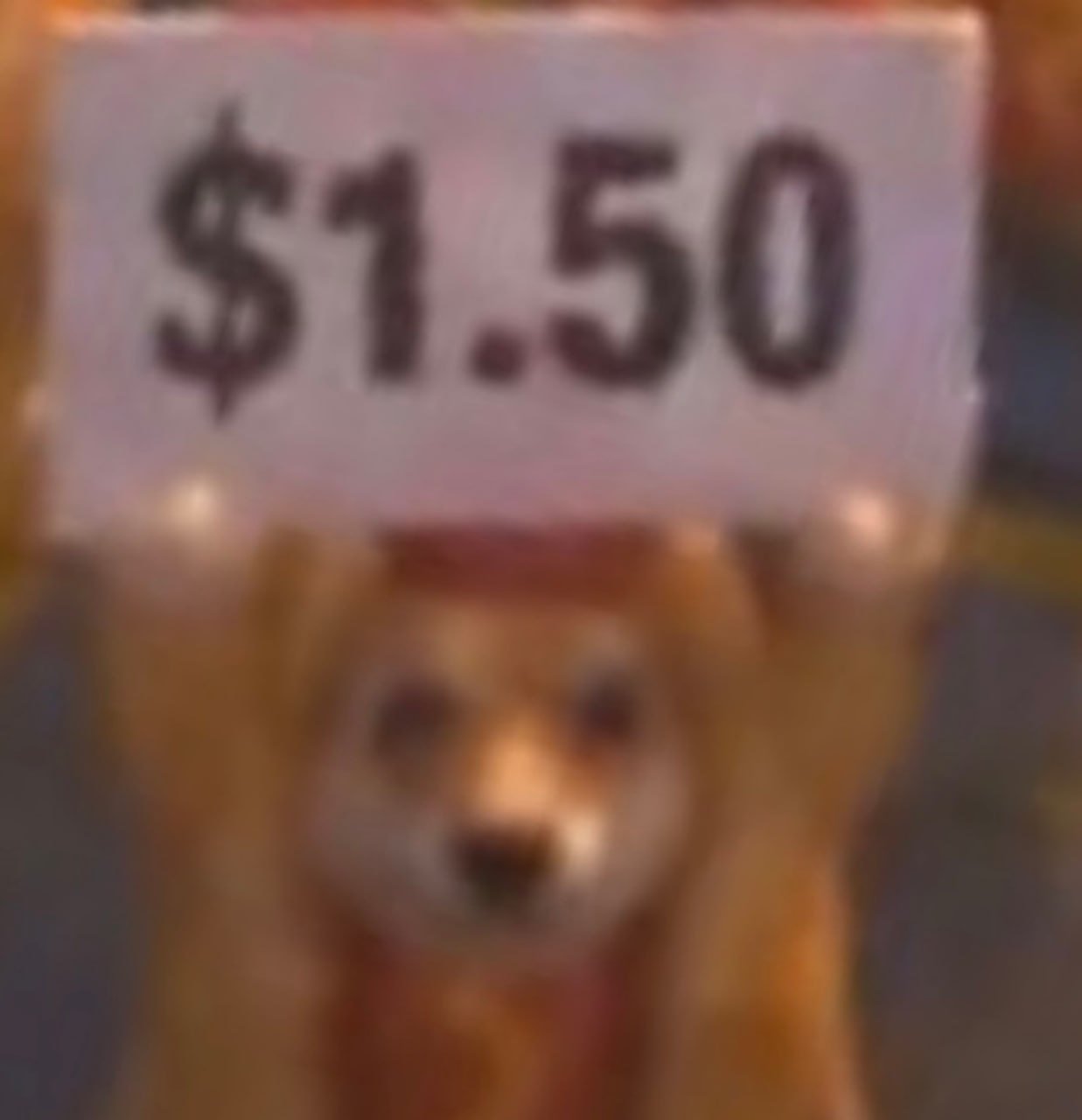 $HOTDOG meme 89